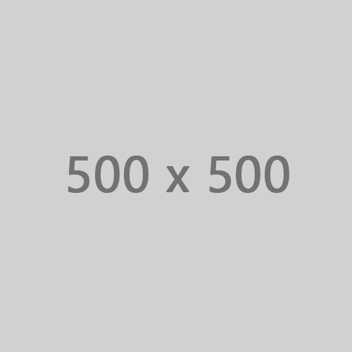 500 - Copy